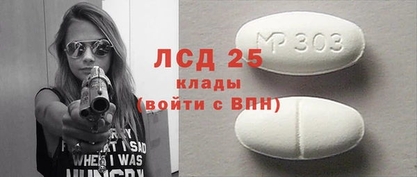 ГАЛЛЮЦИНОГЕННЫЕ ГРИБЫ Касимов