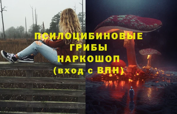 эйфоретик Каменка