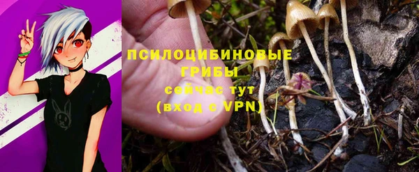 ГАЛЛЮЦИНОГЕННЫЕ ГРИБЫ Касимов