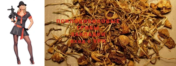 ГАЛЛЮЦИНОГЕННЫЕ ГРИБЫ Касимов