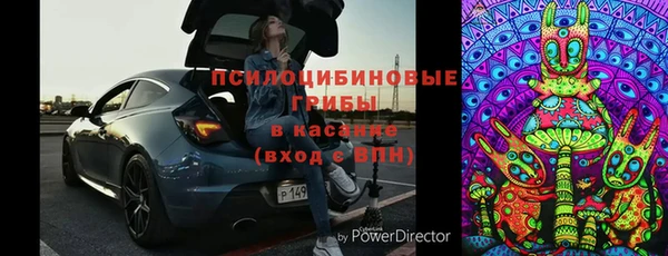 хмурый Карталы