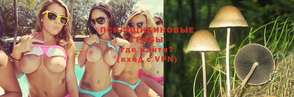 ГАЛЛЮЦИНОГЕННЫЕ ГРИБЫ Касимов
